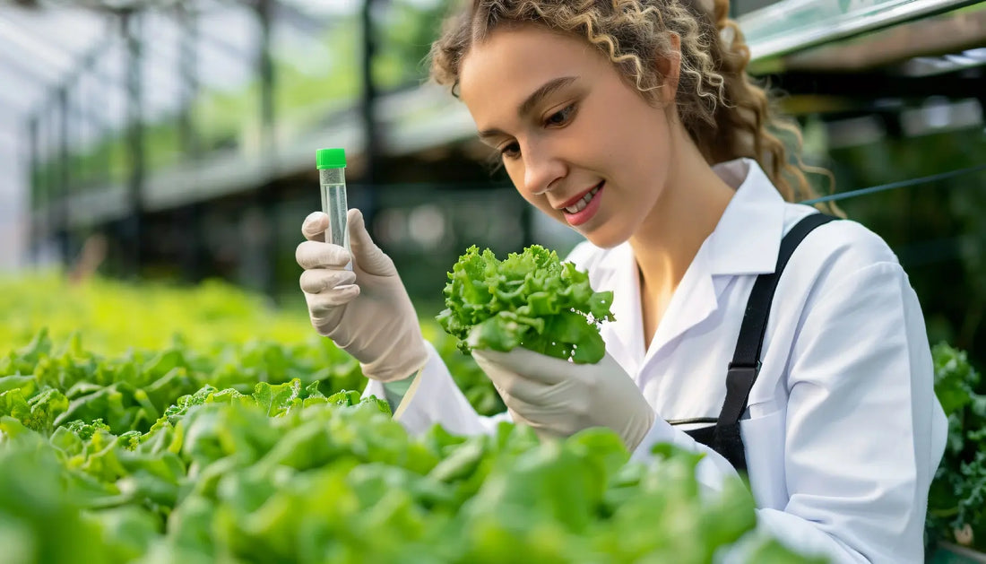 Why Vertical Farming is a Game-Changer for New Zealand Growers