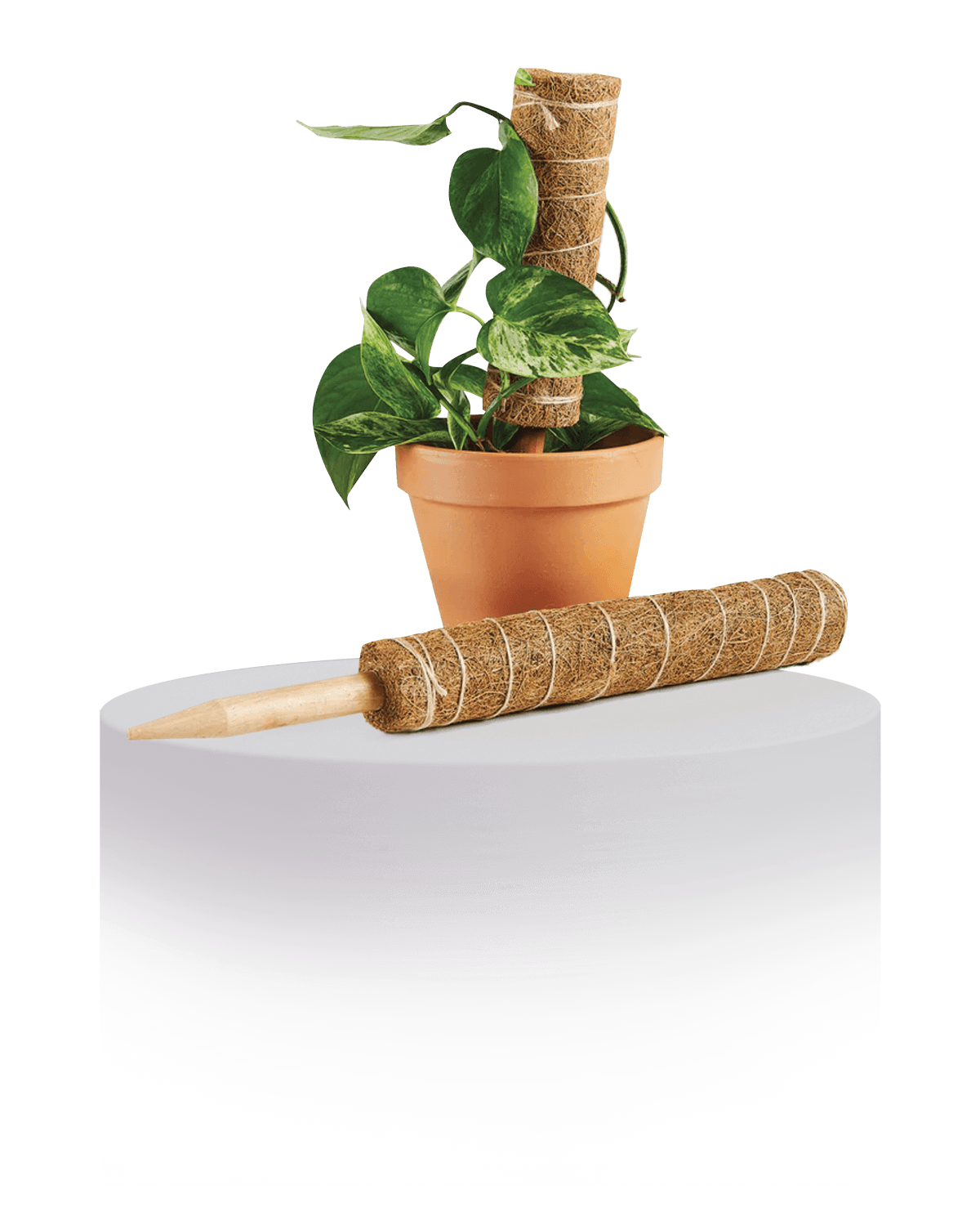 Coco Coir Pole – Natural Support for Stronger, Healthier Plants