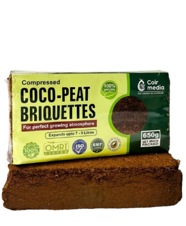 Coir Briquettes