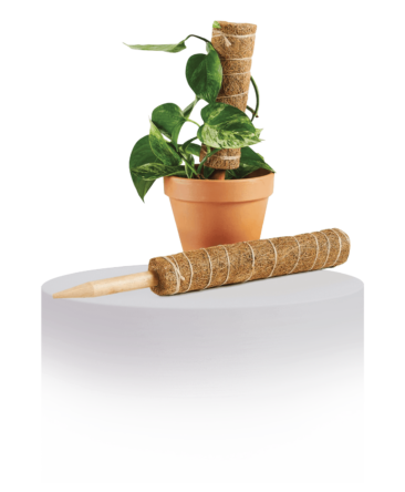coco coir pole