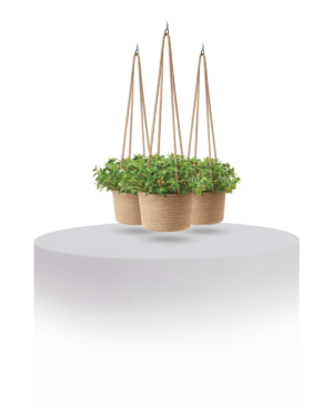 Coconut Husk Hanging Basket