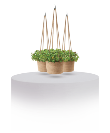 Coconut Husk Hanging Basket