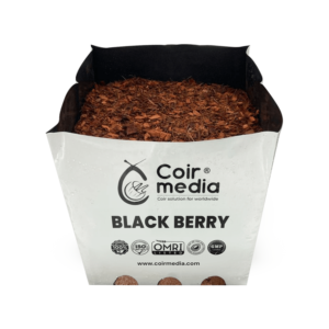 blackberry open top bag