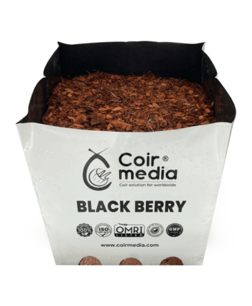 blackberry open top bag
