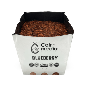 blueberry grow bags