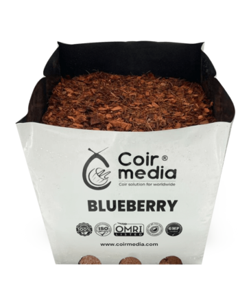 blueberry grow bags