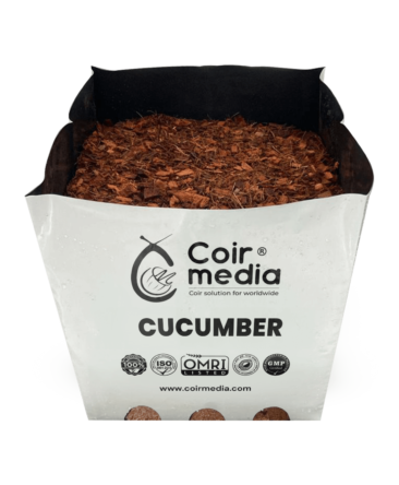 cucumber open top bag