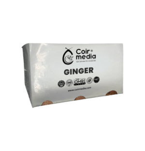 ginger open top bag