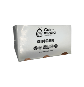 ginger open top bag