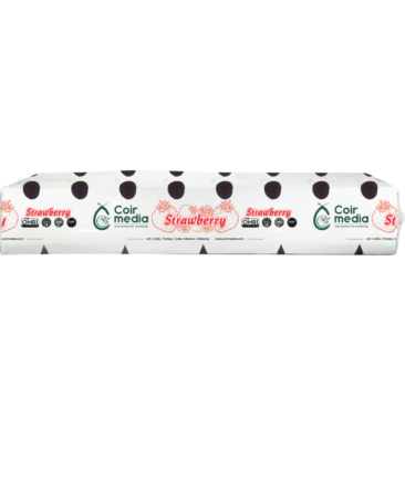 strawberry grow bags