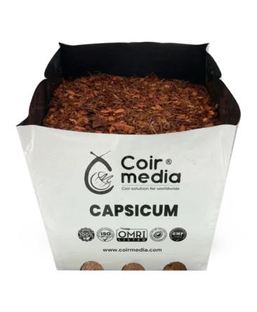 capsicum open top Bag